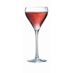 Arcoroc brio vyno taurės, 210 ml, 6 vnt kaina ir informacija | Taurės, puodeliai, ąsočiai | pigu.lt