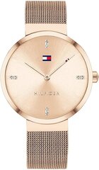 Tommy Hilfiger Watch 1782218 kaina ir informacija | Moteriški laikrodžiai | pigu.lt