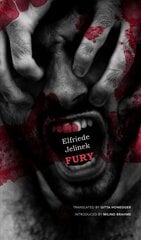 Fury цена и информация | Рассказы, новеллы | pigu.lt