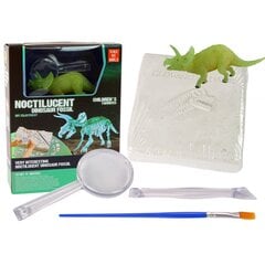 Kūrybinis rinkinys su dinozauru Triceratops kaina ir informacija | Lavinamieji žaislai | pigu.lt
