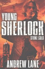 Stone Cold Unabridged edition цена и информация | Книги для подростков и молодежи | pigu.lt