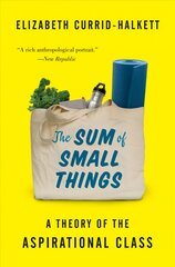 Sum of small things: a theory of the aspirational class kaina ir informacija | Socialinių mokslų knygos | pigu.lt