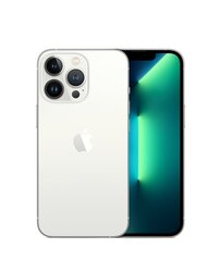 iPhone 13 Pro 1TB White (Atnaujintas, būklė kaip naujas) kaina ir informacija | Mobilieji telefonai | pigu.lt