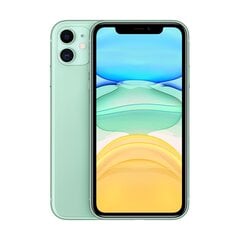 iPhone 11 64GB Green (atjaunots, būklė A) kaina ir informacija | Mobilieji telefonai | pigu.lt