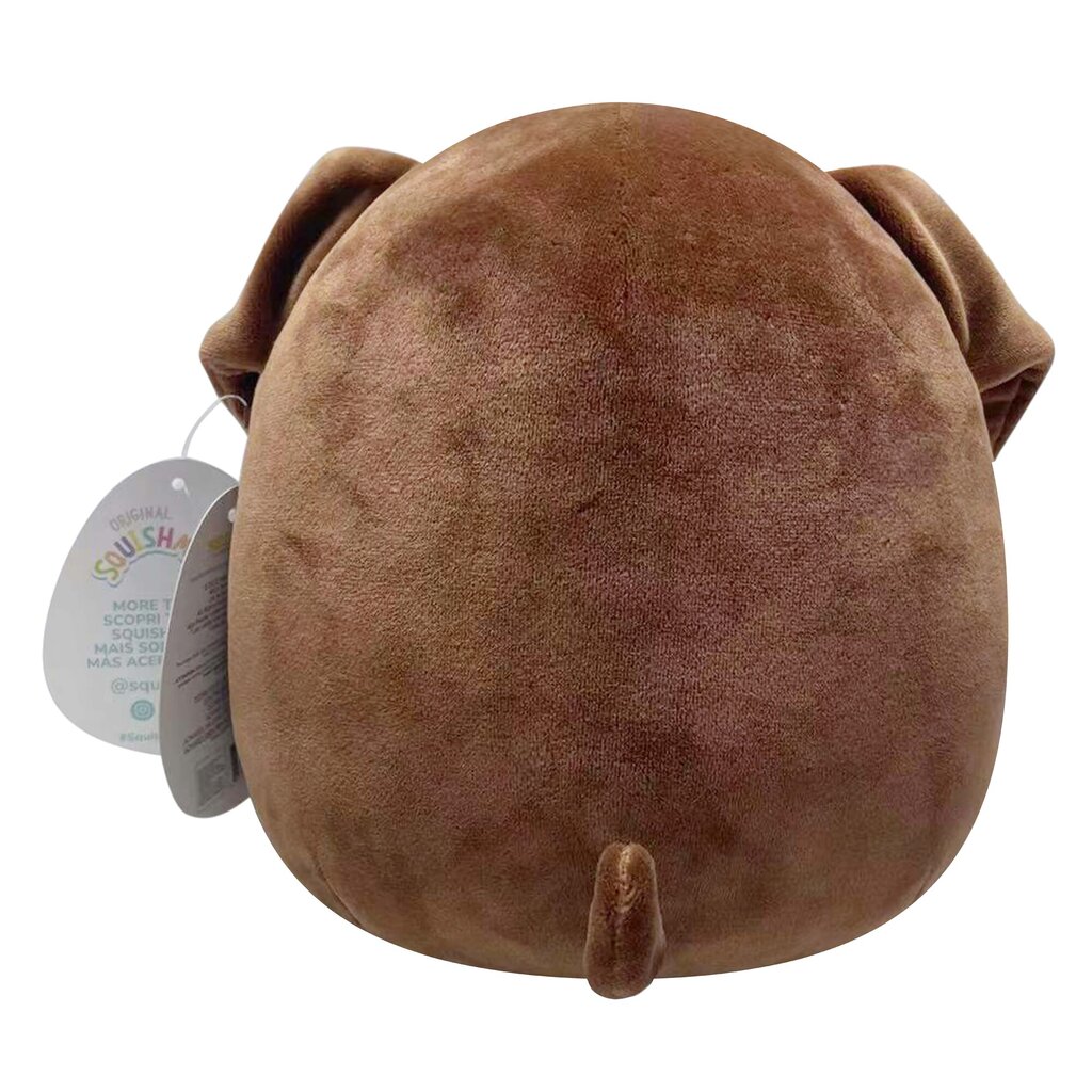 Pliušinis žaislas Squishmallows Allina,19 cm цена и информация | Minkšti (pliušiniai) žaislai | pigu.lt