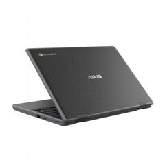 Asus Chromebook CR1 CR1100CKA-YZ142 цена и информация | Ноутбуки | pigu.lt