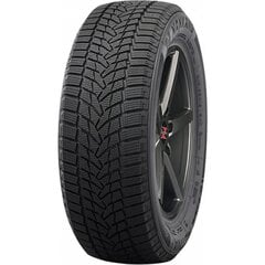 Nankang ICE2 225/55R18 102T XL цена и информация | Зимняя резина | pigu.lt