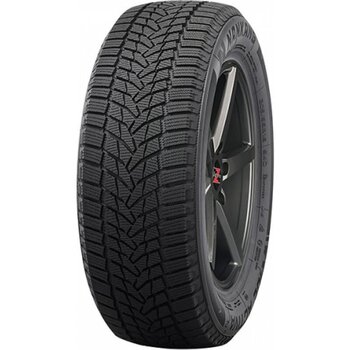 Nankang ICE2 225/55R18 102T XL kaina ir informacija | Žieminės padangos | pigu.lt