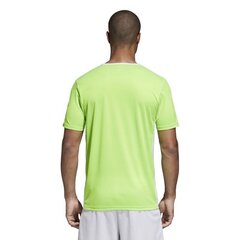 Adidas Футбольная майка Entrada 18 Jsy Green цена и информация | Рубашки для мальчиков | pigu.lt