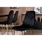 Valgomojo kėdės Venture Home Polar, 2 vnt., juoda/žalvario spalva kaina ir informacija | Virtuvės ir valgomojo kėdės | pigu.lt