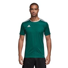 Adidas Футбольная майка Entrada 18 Jsy Green цена и информация | Рубашка для мальчиков | pigu.lt