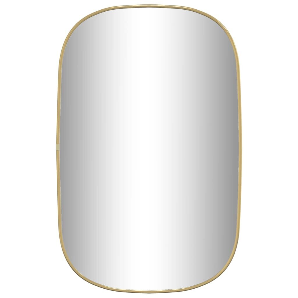 Sieninis veidrodis, auksinis, 70x45cm kaina ir informacija | Veidrodžiai | pigu.lt
