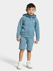 Didriksons vaikiškas megztinis CORIN, turkio spalvos kaina ir informacija | Megztiniai, bluzonai, švarkai berniukams | pigu.lt