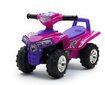 Paspiriama mašina Baby Mix HZ551, rožinė kaina ir informacija | Žaislai kūdikiams | pigu.lt