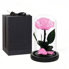 Настоящая роза в стеклянном куполе (Infinity rose) LIVMAN, 22см цена и информация | Спящие стабилизированные розы, растения | pigu.lt