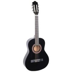 Klasikinė gitara NN BC 38 4/4 kaina ir informacija | Gitaros | pigu.lt