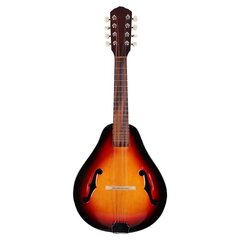 Sopraninė ukulelė Mandolina V-TONE M 108 kaina ir informacija | Gitaros | pigu.lt