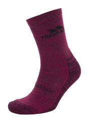 Kojinės FASOWATR0001 - LEADER ECO - RECYCLED YARN FEMALE SOCKS цена и информация | Женские носки | pigu.lt