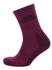 Kojinės FASOWATR0001 - LEADER ECO - RECYCLED YARN FEMALE SOCKS цена и информация | Женские носки | pigu.lt