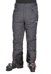 Горнолыжные брюки для мужчин Trespass MABTSKTR0005, серые цена и информация | Мужская лыжная одежда | pigu.lt