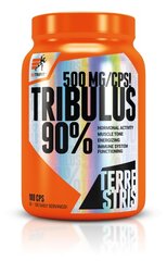 Maisto papildas testosteronui skatinti Tribulus 90%, 100 vnt. kaina ir informacija | Testosterono skatintojai | pigu.lt