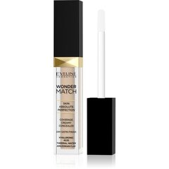 Maskuoklis Eveline Cosmetics Wonder Match, 25 sand nude, 7 ml цена и информация | Пудры, базы под макияж | pigu.lt