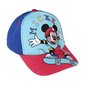 Kepurė ir akiniai mergaitėms Mickey Mouse S0735653 kaina ir informacija | Aksesuarai vaikams | pigu.lt