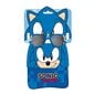Kepurė ir akiniai berniukams Sonic S0735655 kaina ir informacija | Aksesuarai vaikams | pigu.lt