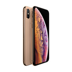 iPhone XS 64GB Gold kaina ir informacija | Mobilieji telefonai | pigu.lt