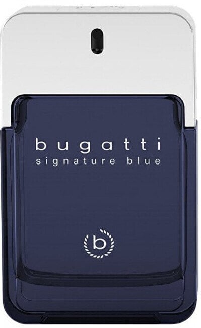 Kvapusis vanduo Bugatti Signature Blue, 100 ml kaina ir informacija | Kvepalai vyrams | pigu.lt