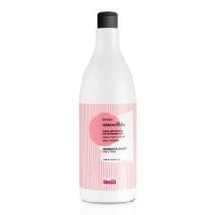 Šampūnas tiesinantis plaukus Glossco Smoothie, 500 ml цена и информация | Шампуни | pigu.lt