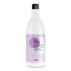 Pilkinanatis plaukų šampūnas Glossco White & Silver Shampoo, 500 ml kaina ir informacija | Plaukų dažai | pigu.lt