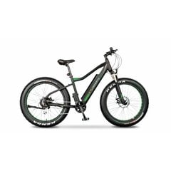 Электрический велосипед Argento Bike elephant plus 25 km/h, 26" цена и информация | Электровелосипеды | pigu.lt