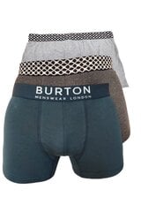 Трусы мужские Burton, 3 шт. цена и информация | Трусы | pigu.lt