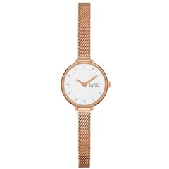 Женские часы Skagen GITTE LILLE (Ø 22 мм) цена и информация | Женские часы | pigu.lt