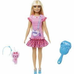 My First Barbie Core Doll кукла с котёнком HLL19 цена и информация | Игрушки для девочек | pigu.lt