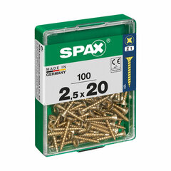 Коробка для винтов SPAX Шуруп Плоская головка (2,5 x 20 mm) цена и информация | Крепежные изделия | pigu.lt