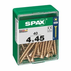 Varžtų dėžutė Spax, 0.4 x 4.5 cm kaina ir informacija | Tvirtinimo detalės | pigu.lt