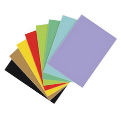 Цветная бумажная каскад, A1 (64 x 90 см), 225 г/м2, 1 листовой пакет 4 шт. цена и информация | Тетради и бумажные товары | pigu.lt