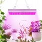 LED Lempa augalų auginimui цена и информация | Daigyklos, lempos augalams | pigu.lt
