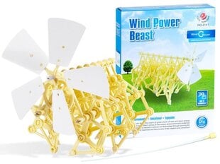Mokomasis rinkinys Vėjo malūnas kaina ir informacija | Lavinamieji žaislai | pigu.lt