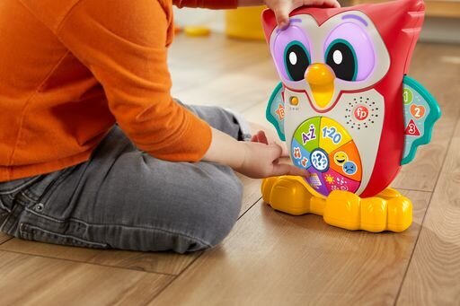 Muzikinis interaktyvus pelėdžiukas Fisher Price Pupū HNK87 kaina ir informacija | Lavinamieji žaislai | pigu.lt