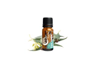 Ekologiškas eterinis eukaliptų aliejus Terra Gaia, 10 ml цена и информация | Эфирные, косметические масла, гидролаты | pigu.lt