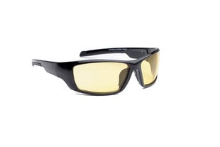 Akiniai nuo saulės Granite 2134618 цена и информация | Легкие и мощные прозрачные защитные очки для велосипедов | pigu.lt
