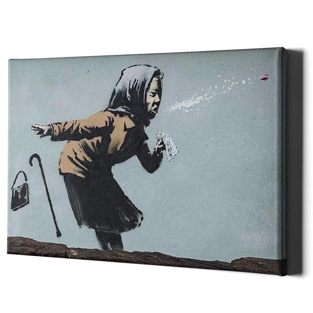 Paveikslas Banksy Grandma Sneezes Graffiti kaina ir informacija | Reprodukcijos, paveikslai | pigu.lt