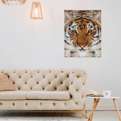 Печатный холст на стену с бенгальским тигром Холст с животным Декор интерьера - 78 х 50 см цена и информация | Интерьерные наклейки | pigu.lt