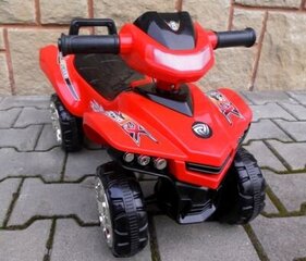 Paspiriamas automobilis Quad J5 kaina ir informacija | Žaislai kūdikiams | pigu.lt