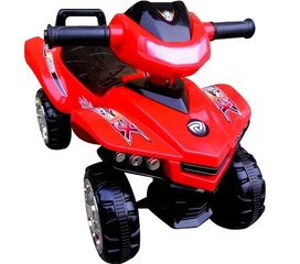 Paspiriamas automobilis Quad J5 цена и информация | Игрушки для малышей | pigu.lt