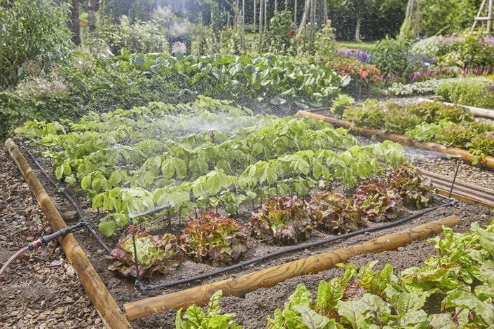 Laistymo sistema daržovių/gėlių lysvėms laistyti Gardena Micro-Drip-System, 60 m² kaina ir informacija | Laistymo įranga, purkštuvai | pigu.lt