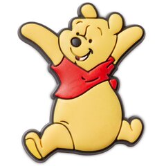 Avalynės aksesuaras Crocs™ Winnie The Pooh 233602 kaina ir informacija | Guminės klumpės vaikams | pigu.lt